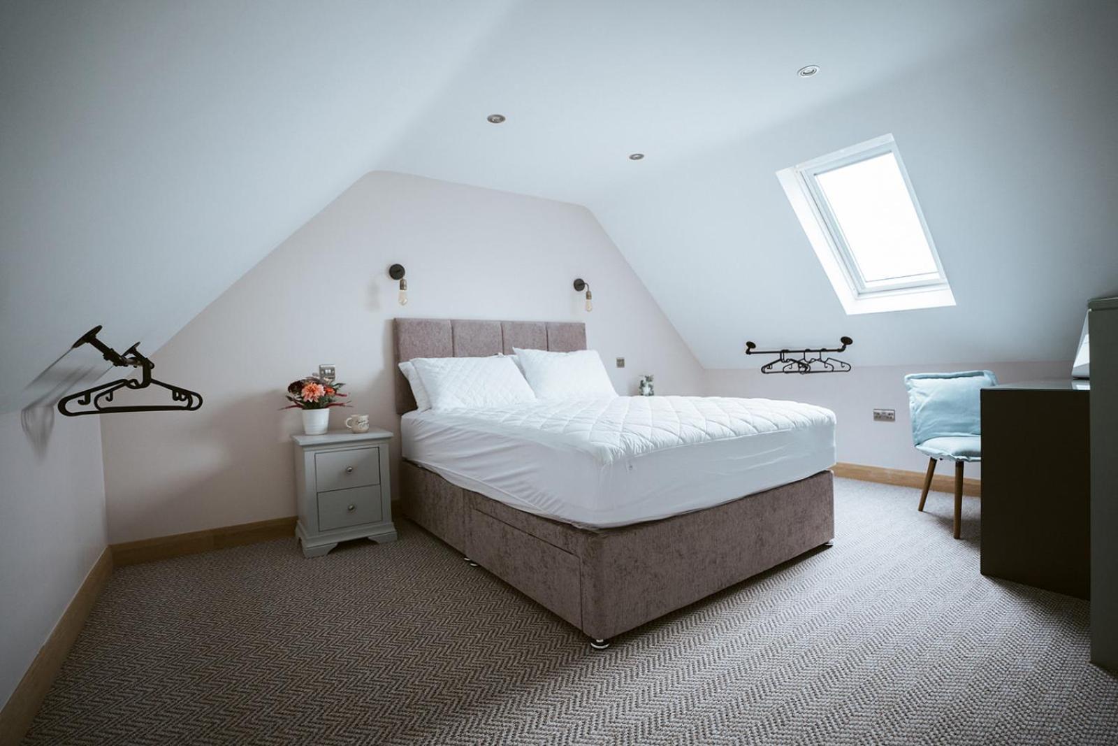 The Byre At Conker Tree Cottages Saintfield 外观 照片